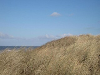 Chalet Oostkapelle Environment 28