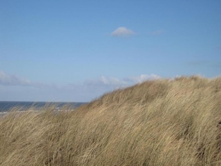 Chalet Oostkapelle Environnement 26