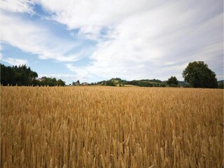 Maison de vacances Città di Castello Environnement 29