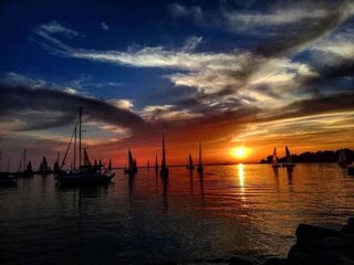 Casa de vacaciones Vrsar Entorno 25