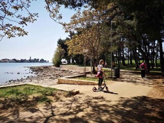 Vakantiehuis Vrsar Omgeving 43