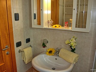 Appartamento per vacanze Brenzone sul Garda Caratteristiche 28