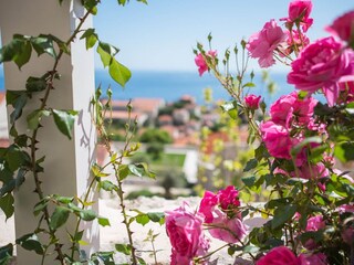 Apartment Dubrovnik  36