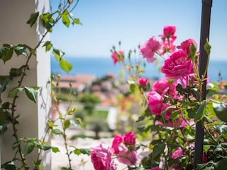 Appartement Dubrovnik  34