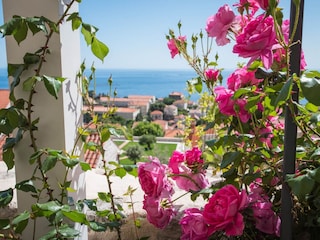 Appartement Dubrovnik  36