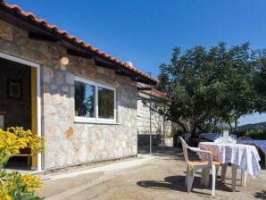 Guest House Simunovic - Studio-Apartment mit Terrasse - Suđurađ - image1