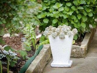 Apartamento Mokošica Grabación al aire libre 1