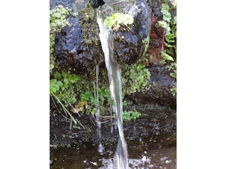 frisches Quellwasser