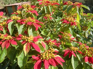 Impressionen im Spätsommer