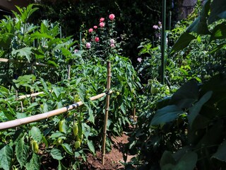 Appartamento Dubrovnik  24