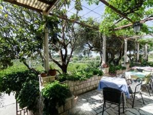 Maison de vacances Guesthouse Moretic - Chambre Double avec Balcon et Vue sur la Mer 5 - Orašac - image1