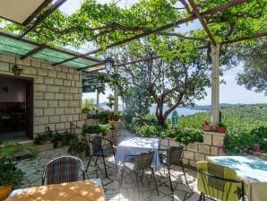 Appartement Guesthouse Moretic - Small Double Room with Garden View 1 - Orašac - image1