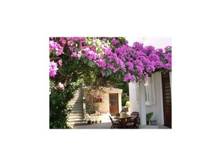 Appartement Dubrovnik  14