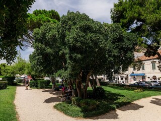 Appartement Dubrovnik  18