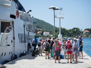 Appartement Dubrovnik  15