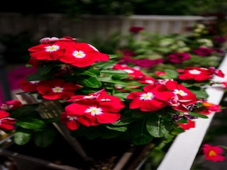 Apartment Dubrovnik Außenaufnahme 3