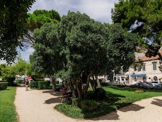 Appartement Dubrovnik  17