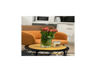 Appartement Dubrovnik  11