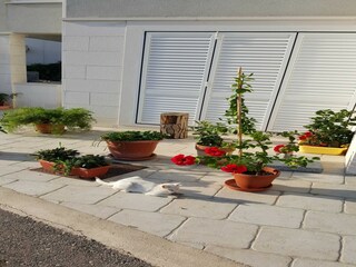 Apartment Mokošica  25