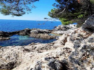 Apartment Mokošica  21
