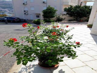 Apartamento Mokošica  25