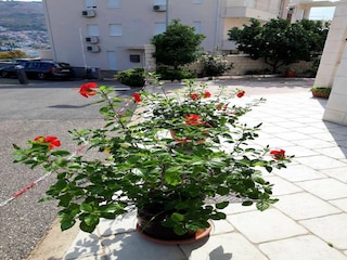 Appartement Mokošica  28