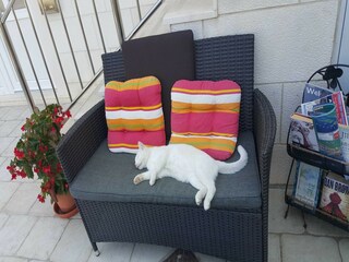 Apartamento Mokošica  20