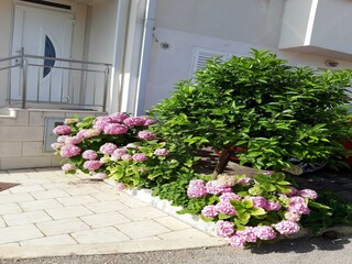 Apartamento Mokošica Grabación al aire libre 4