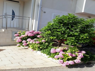 Apartment Mokošica Außenaufnahme 3