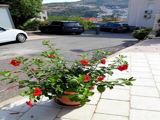 Apartamento Mokošica  19