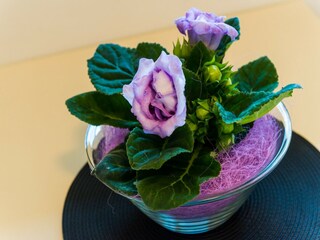 Appartement Dubrovnik  32