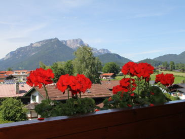 Holiday apartment Apartement "Edelweiss"