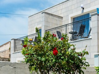Villa Gruda Outdoor Recording 3