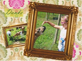 Appartamento per vacanze Fehring Ambiente 34