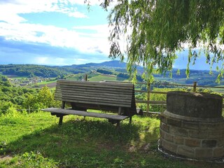 Appartamento per vacanze Fehring Ambiente 36