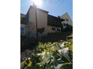 Appartamento per vacanze Fehring Ambiente 37