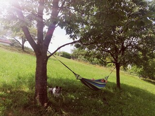 relaxen im großen Obstgarten