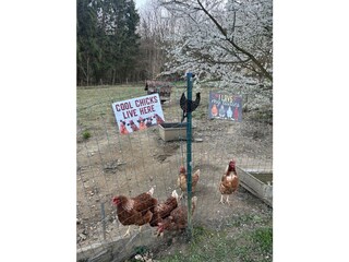 Appartamento per vacanze Fehring Registrazione all'aperto 17