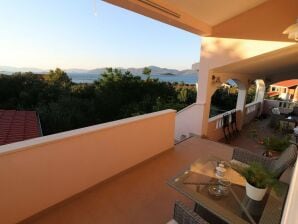 Appartamento Apartments Sergej-Standard Studio apartment with Terrace and Sea View ( Nataša ) - Drace - image1