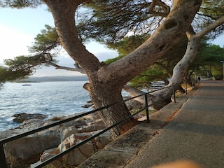 Apartment Cavtat  20