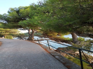 Appartement Cavtat  21