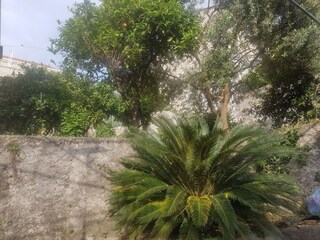 Appartement Cavtat Buitenaudio-opname 3