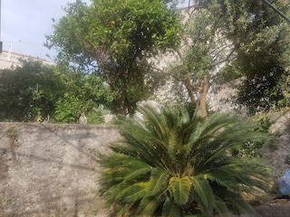 Appartement Cavtat Enregistrement extérieur 2