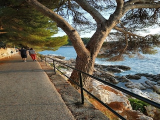 Apartment Cavtat  20