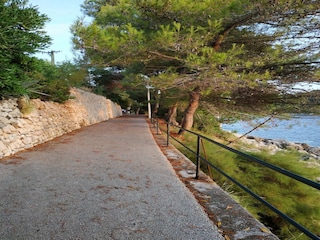 Apartment Cavtat  17