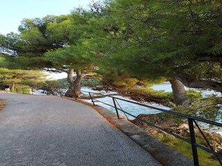 Appartamento Cavtat  22