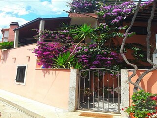 Appartement Ston Buitenaudio-opname 2