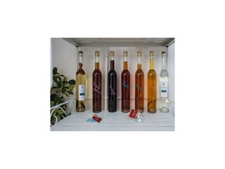 Apartamento Potomje  15