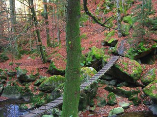 Appartement de vacances Waldkirchen Environnement 20