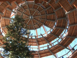 Vakantieappartement Waldkirchen Omgeving 16